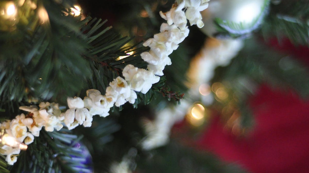 A Christmas tree is shown up close with a strand of popcorn wrapped around the tree.